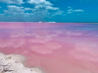 Розовые озера + фотосет