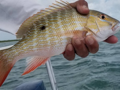 Рыбалка в Канкуне